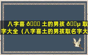 八字喜 🐅 土的男孩 🌵 取名字大全（八字喜土的男孩取名字大全两个字）